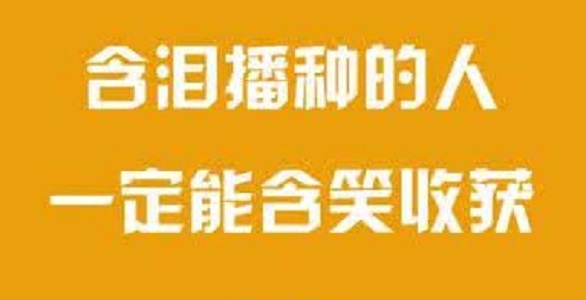 灵宝高考文化课全托集训学校哪家好